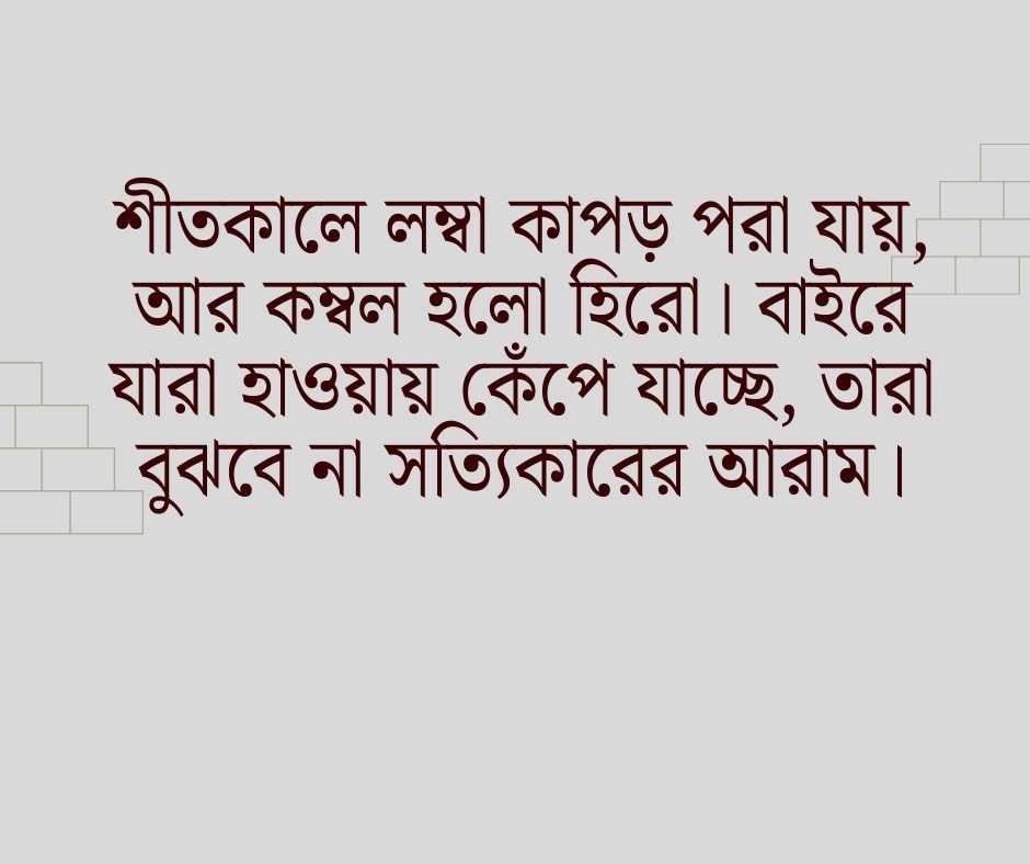শীত নিয়ে ফানি ক্যাপশন