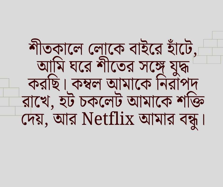 শীত নিয়ে ফানি স্ট্যাটাস