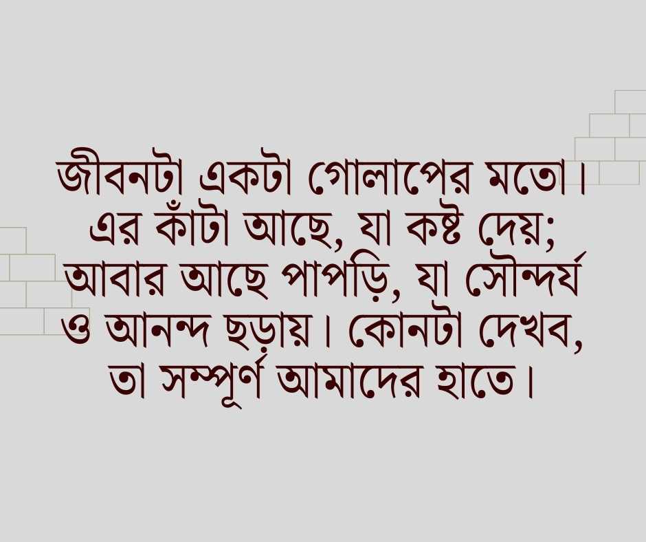 গোলাপ ফুল নিয়ে ক্যাপশন