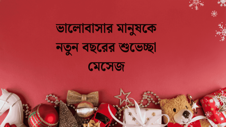 ভালোবাসার মানুষকে নতুন বছরের শুভেচ্ছা মেসেজ