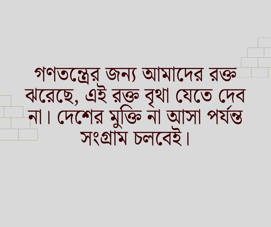 রাজনৈতিক ক্যাপশন বিএনপি