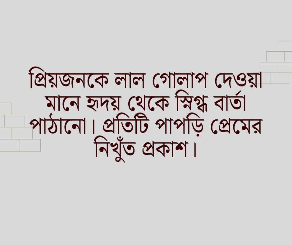 লাল গোলাপ নিয়ে ক্যাপশন
