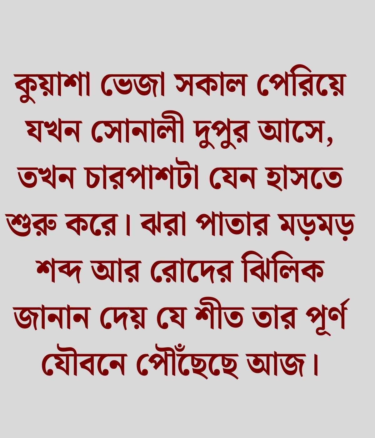 শীতের দুপুর নিয়ে ক্যাপশন