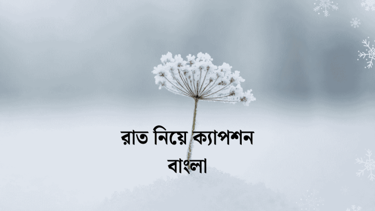 শীতের রাত নিয়ে ক্যাপশন