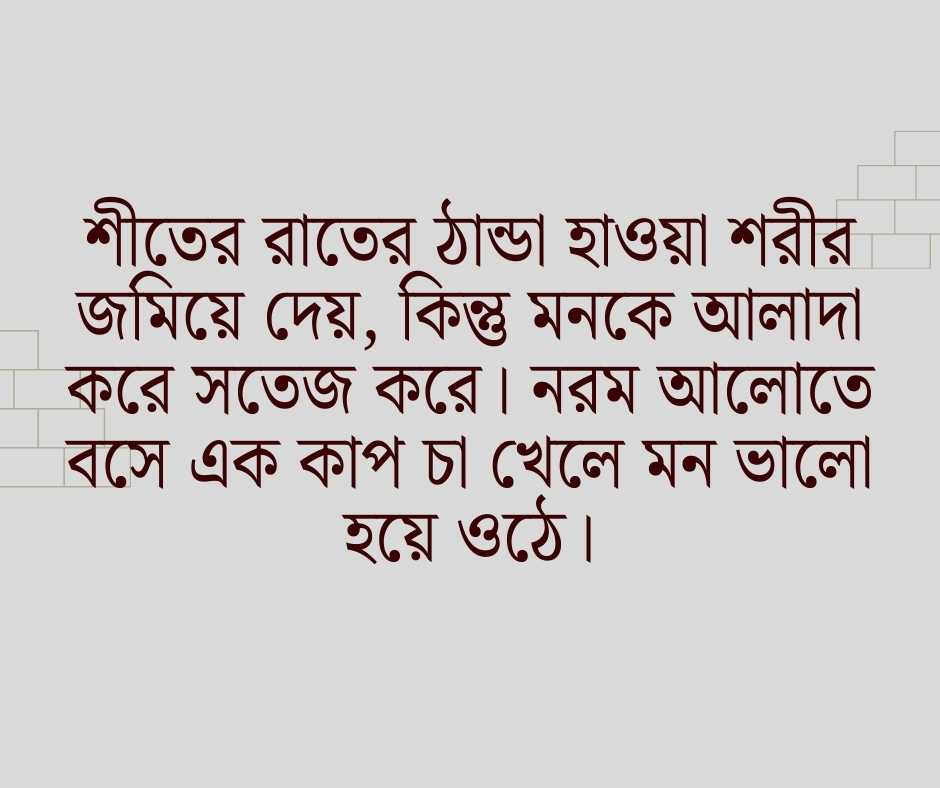 শীতের রাত নিয়ে ক্যাপশন