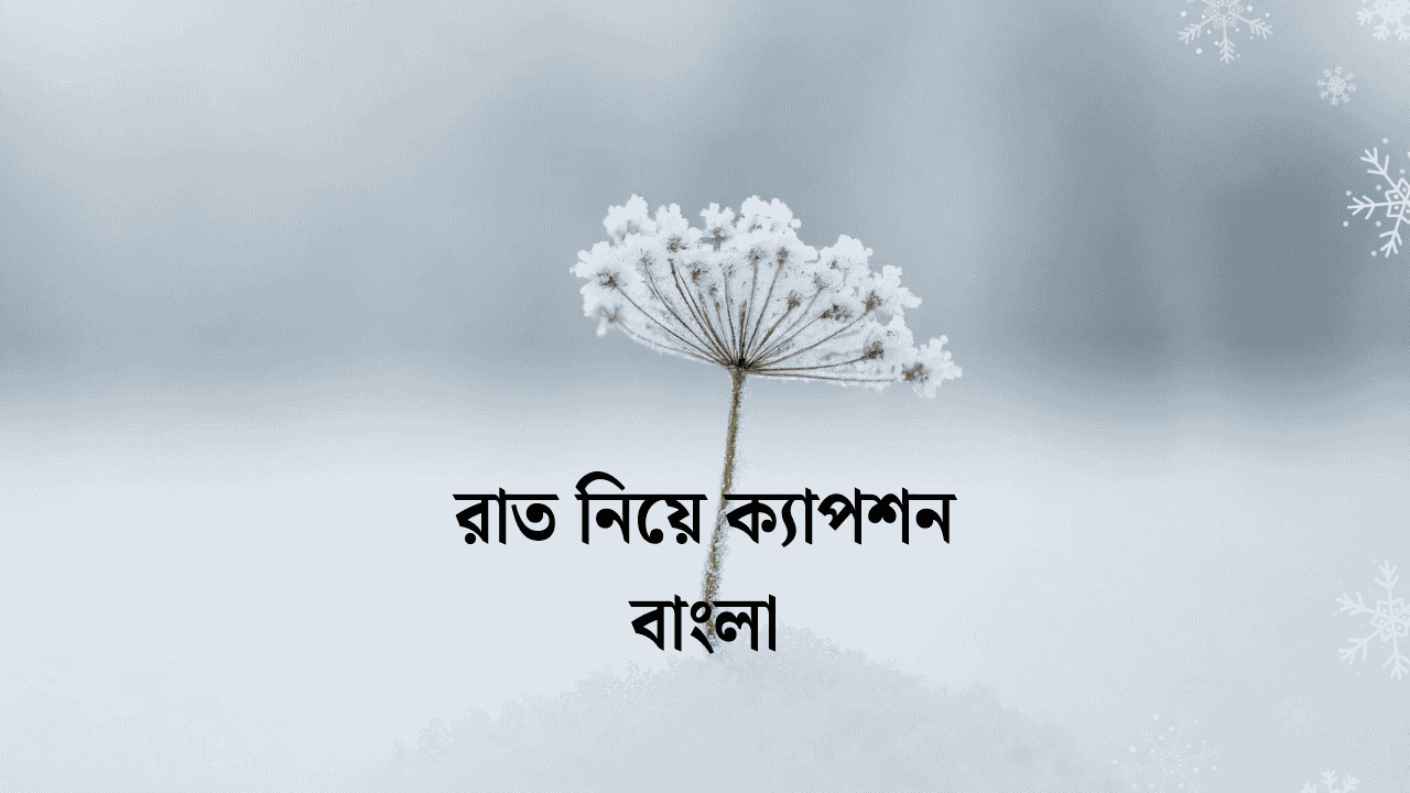 শীতের রাত নিয়ে ক্যাপশন