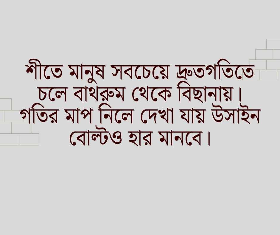 শীতের রাত নিয়ে ফানি ক্যাপশন