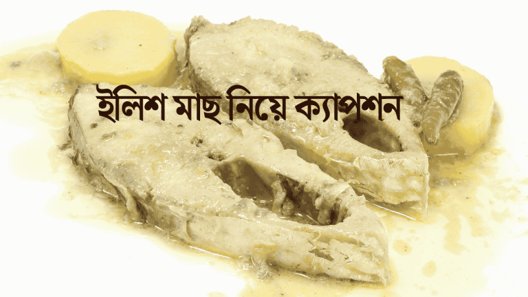 ইলিশ মাছ নিয়ে ক্যাপশন