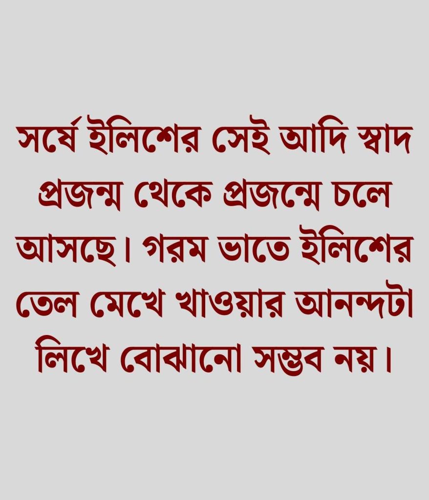 ইলিশ মাছ নিয়ে ক্যাপশন