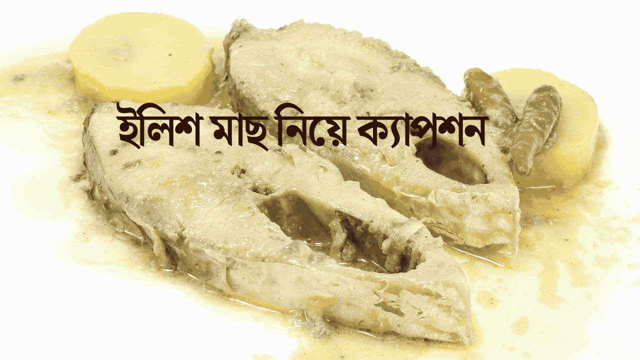 ইলিশ মাছ নিয়ে ক্যাপশন