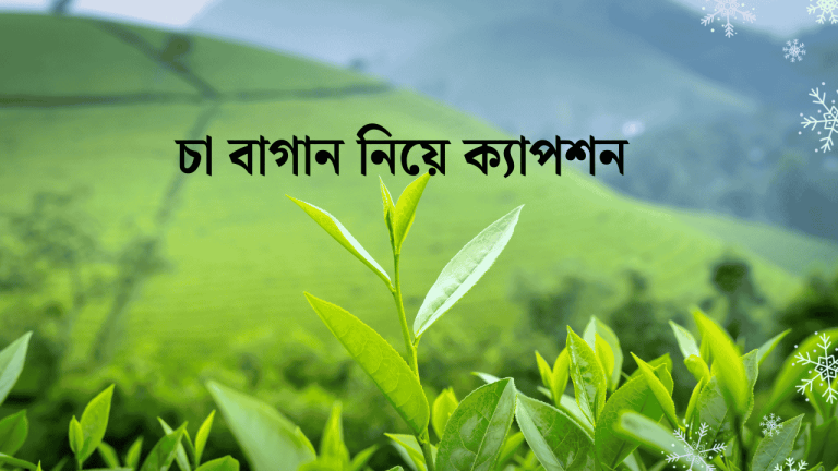 চা বাগান নিয়ে ক্যাপশন
