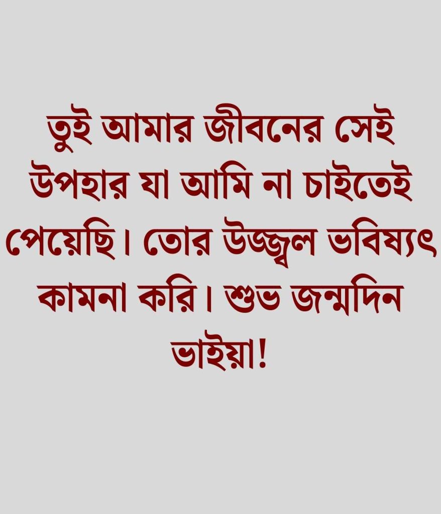 ছোট ভাইয়ের জন্মদিনের শুভেচ্ছা স্ট্যাটাস