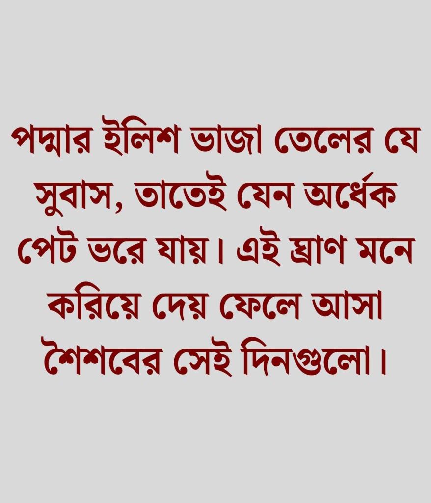 পদ্মার ইলিশ মাছ নিয়ে স্ট্যাটাস