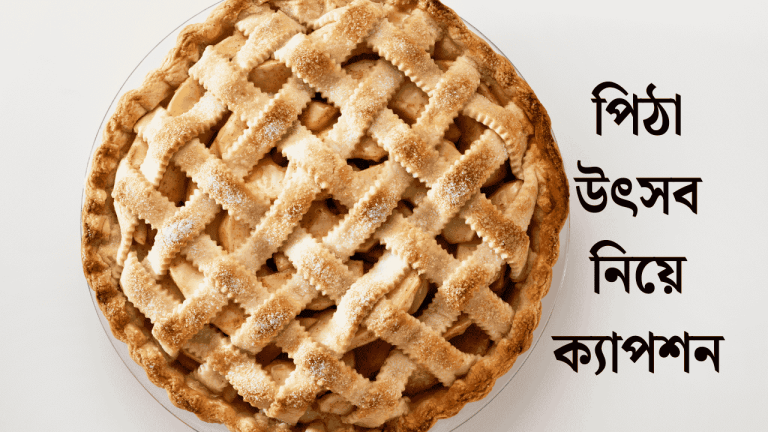 পিঠা উৎসব নিয়ে ক্যাপশন