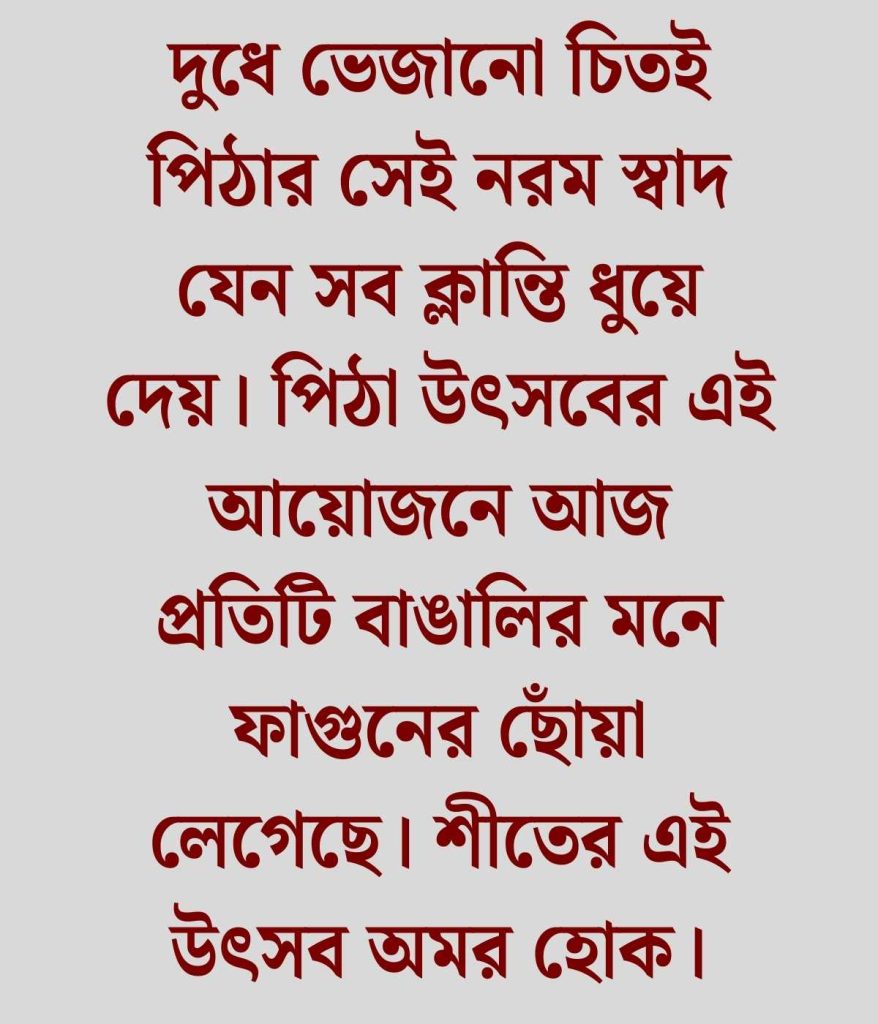 শীতের পিঠা উৎসব নিয়ে ক্যাপশন