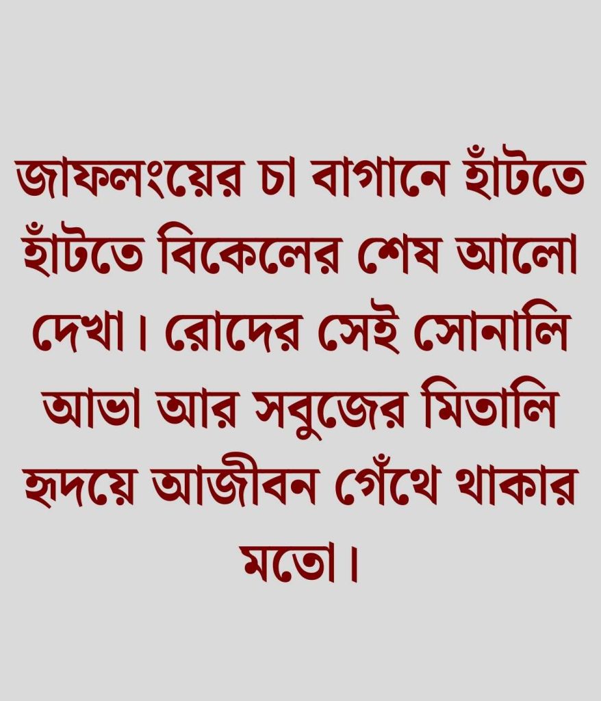 জাফলং নিয়ে ক্যাপশন
