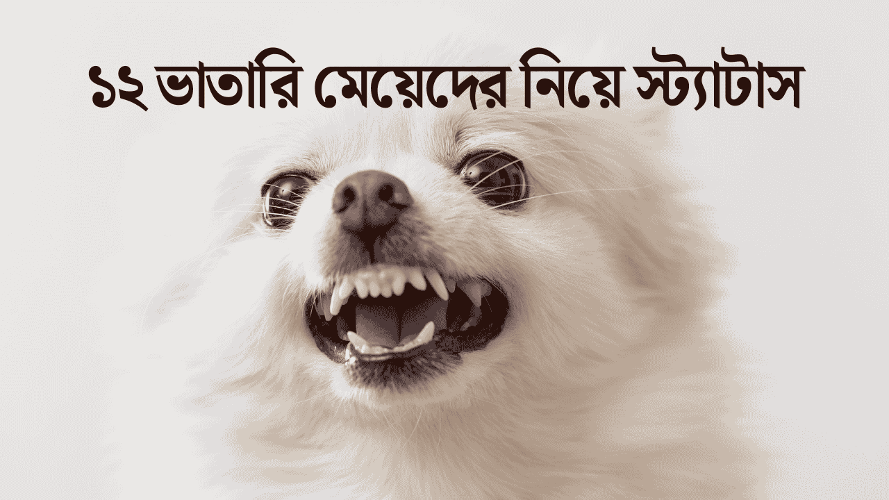 ১২ ভাতারি মেয়েদের নিয়ে স্ট্যাটাস