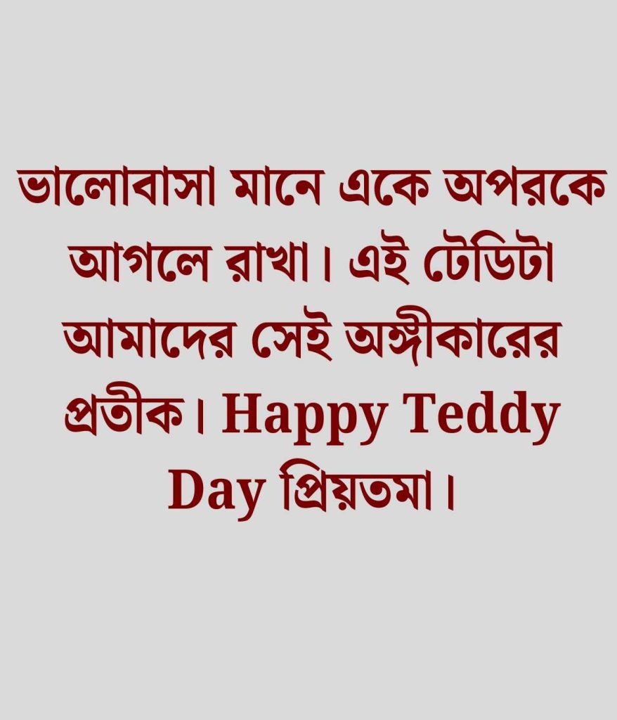 টেডি ডে ক্যাপশন
