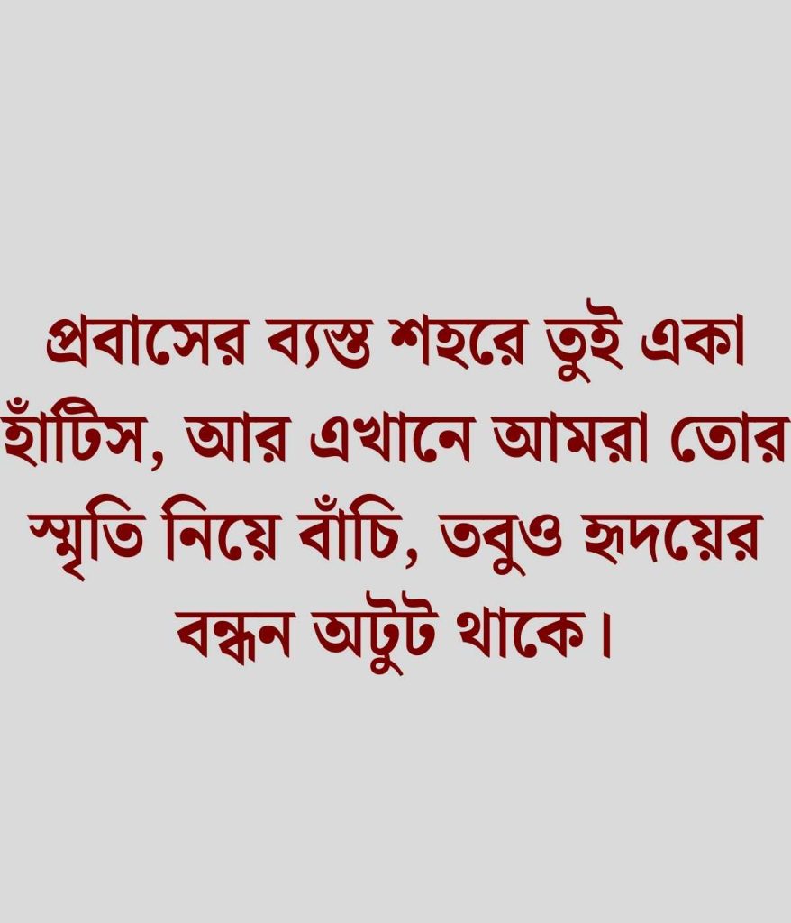 বন্ধুর প্রবাস জীবন নিয়ে স্ট্যাটাস