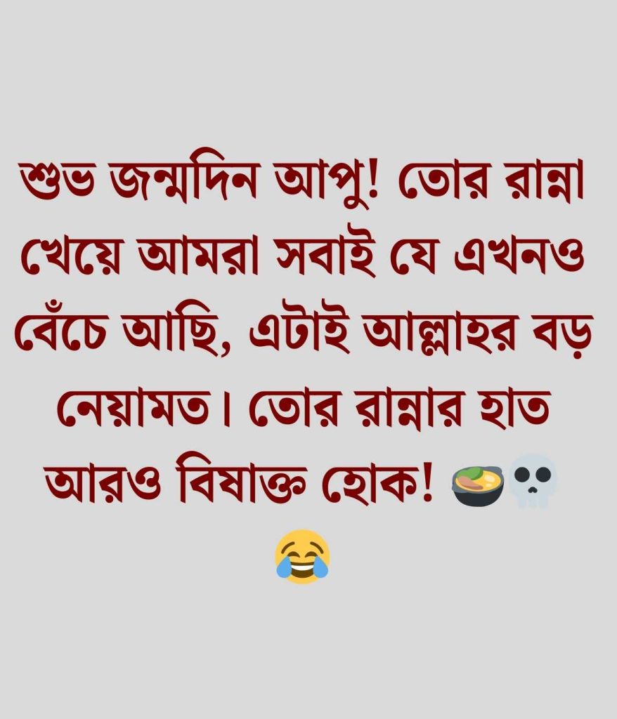 বোনের জন্মদিনের শুভেচ্ছা স্ট্যাটাস ফানি