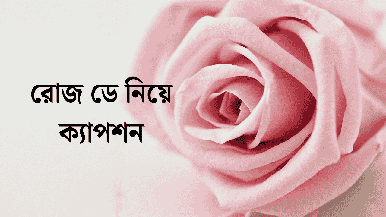 রোজ ডে নিয়ে ক্যাপশন