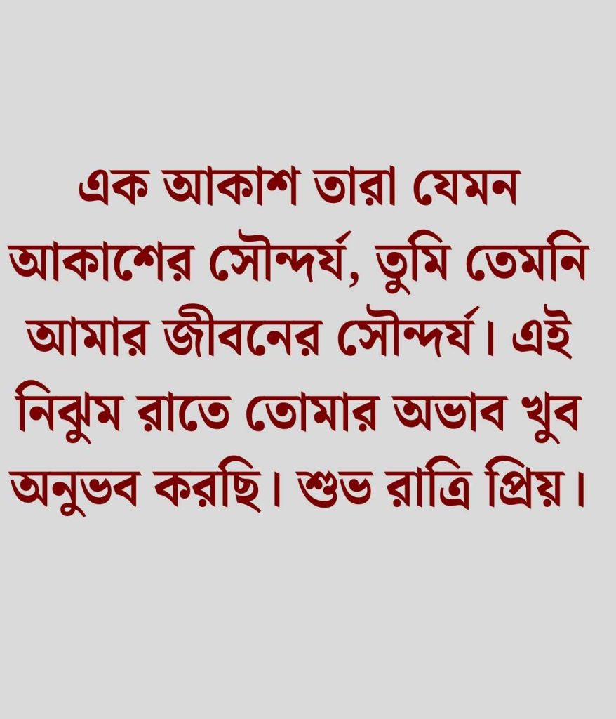 শুভ রাত্রি রোমান্টিক মেসেজ
