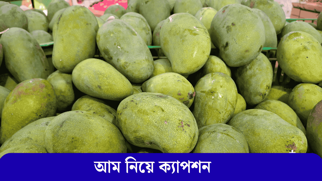 আম নিয়ে ক্যাপশন