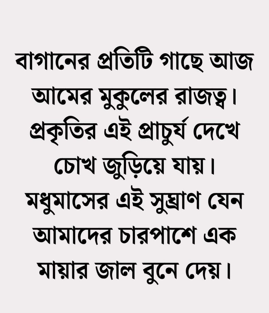 আমের মুকুল নিয়ে ক্যাপশন