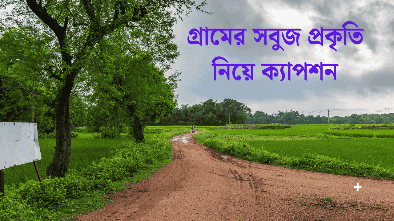 গ্রামের সবুজ প্রকৃতি নিয়ে ক্যাপশন