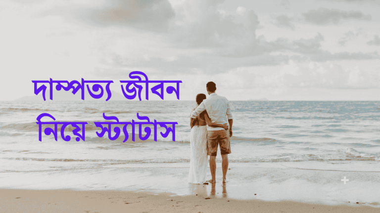 দাম্পত্য জীবন নিয়ে স্ট্যাটাস