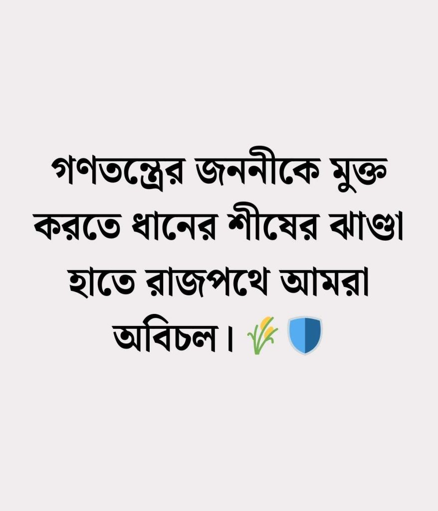 বিএনপি ধানের শীষ নিয়ে ক্যাপশন 