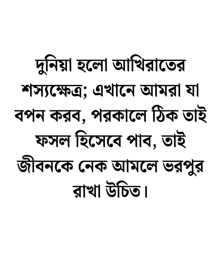 ইসলাম ধর্ম নিয়ে উক্তি