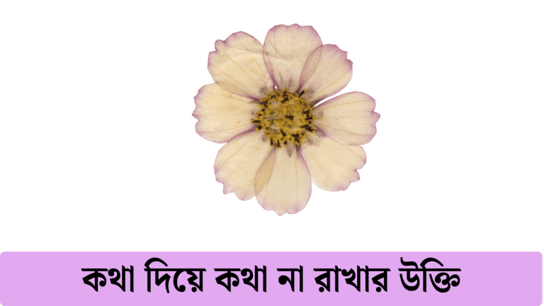 কথা দিয়ে কথা না রাখার উক্তি