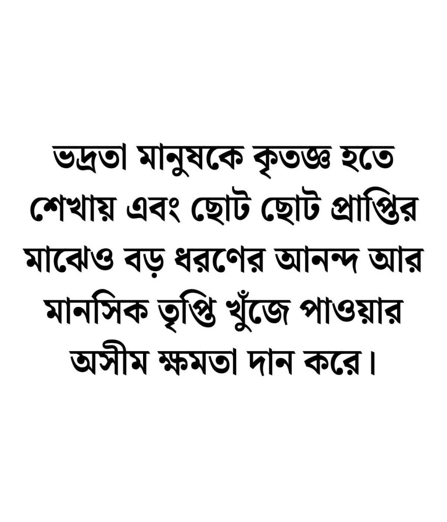 ভদ্র ছেলেদের ফেসবুক স্ট্যাটাস