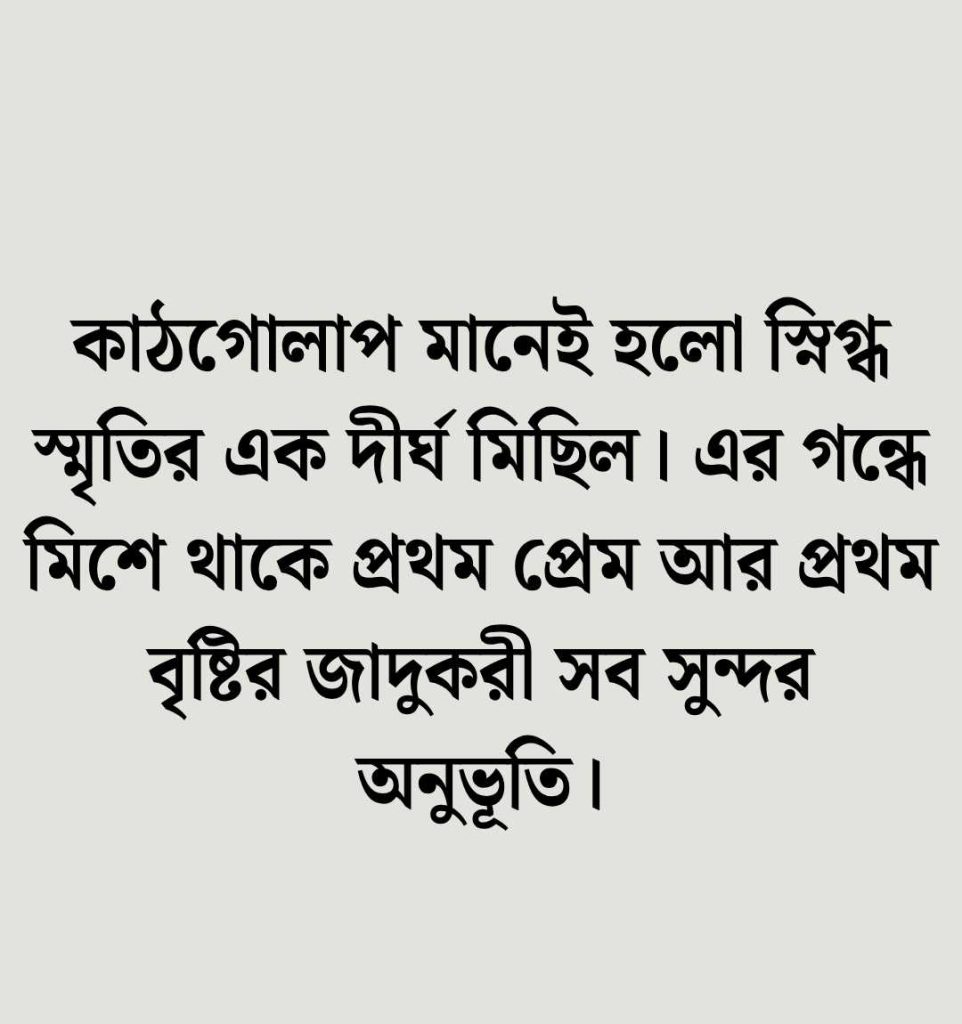 কাঠগোলাপ নিয়ে ক্যাপশন