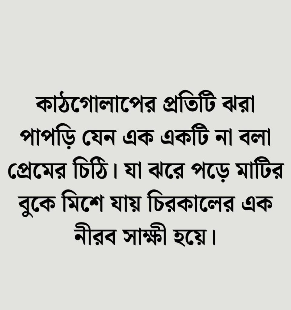 কাঠগোলাপ নিয়ে ক্যাপশন বাংলা