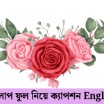 গোলাপ ফুল নিয়ে ক্যাপশন English