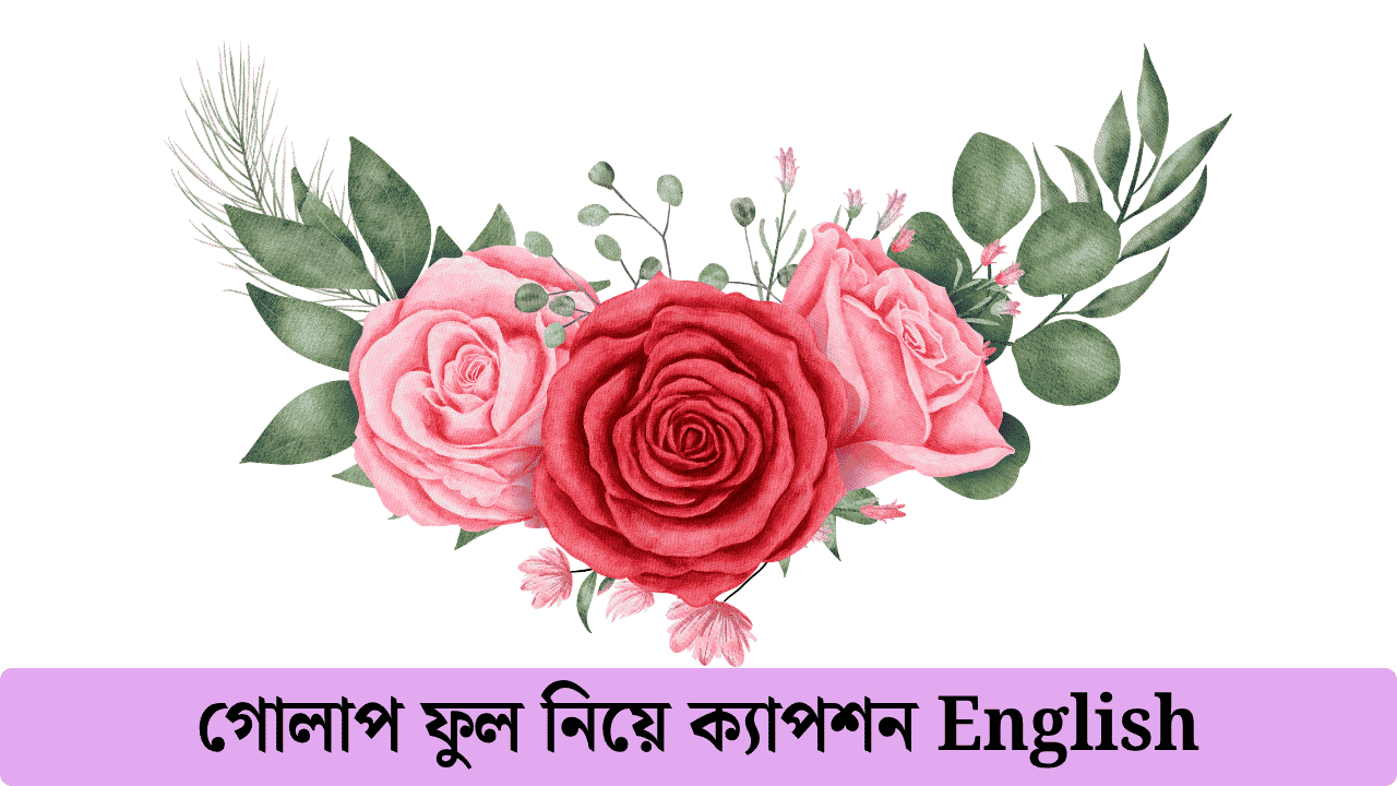 গোলাপ ফুল নিয়ে ক্যাপশন English