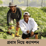 প্রবাস নিয়ে ক্যাপশন