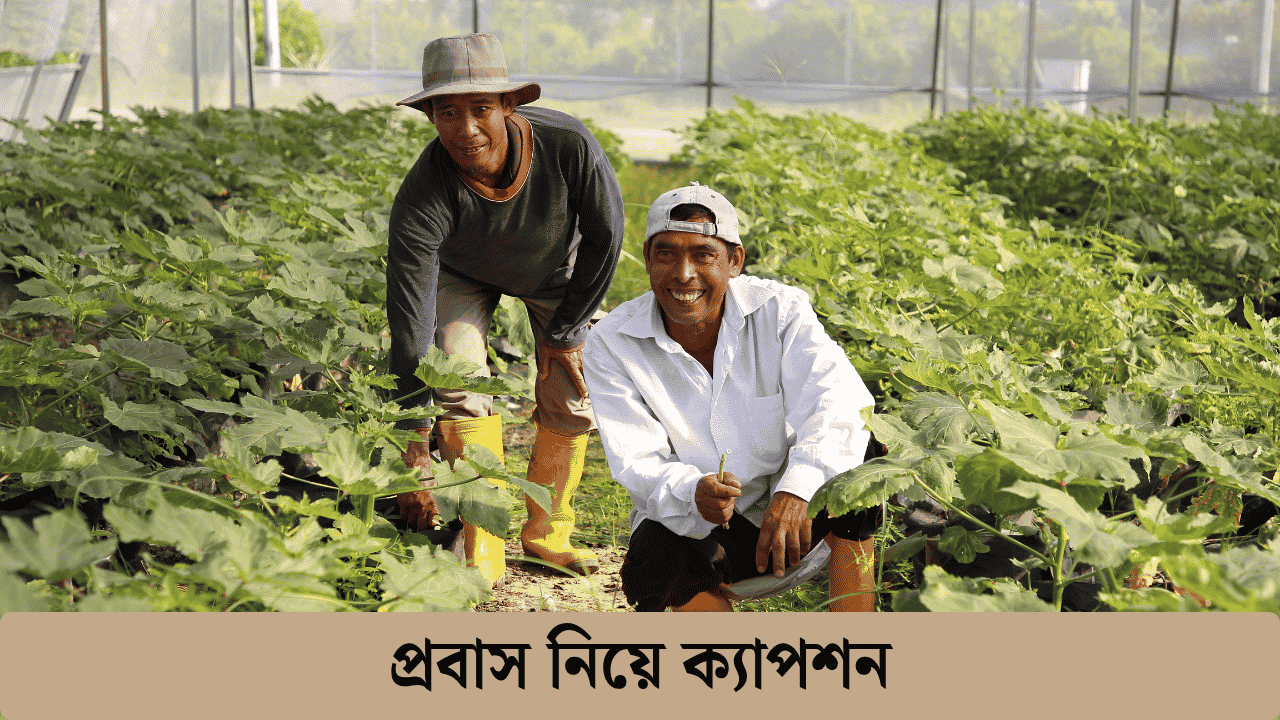 প্রবাস নিয়ে ক্যাপশন