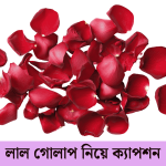 লাল গোলাপ নিয়ে ক্যাপশন