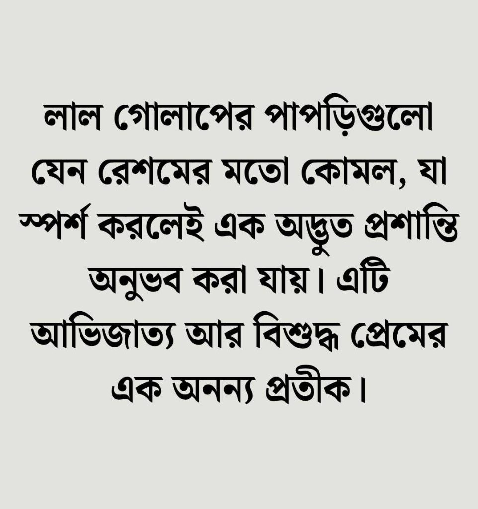 লাল গোলাপ নিয়ে ক্যাপশন