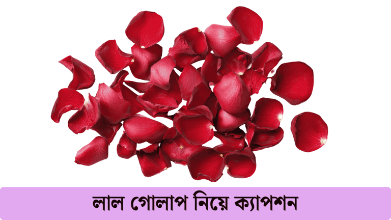 লাল গোলাপ নিয়ে ক্যাপশন